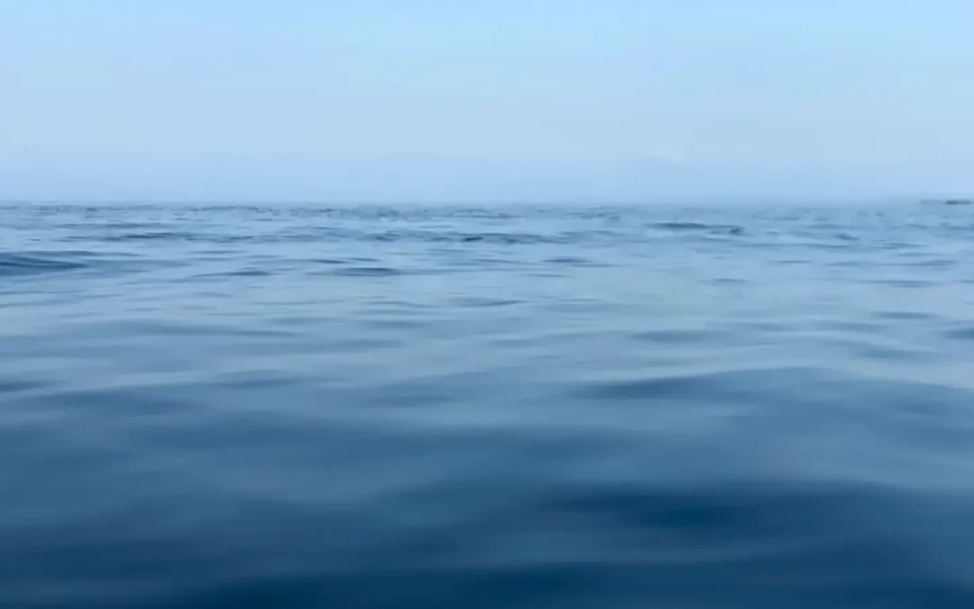 How to Build a Business Where There’s No Competition