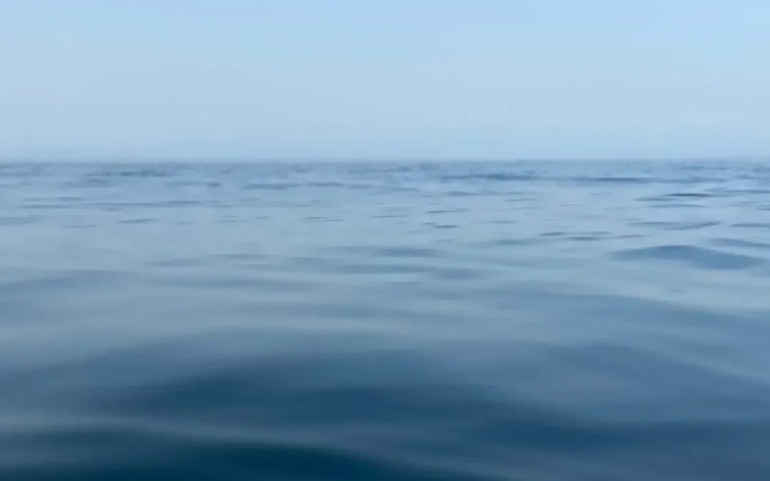 Seeing What Others Don’t: Japan’s Blind Spot for Innovation